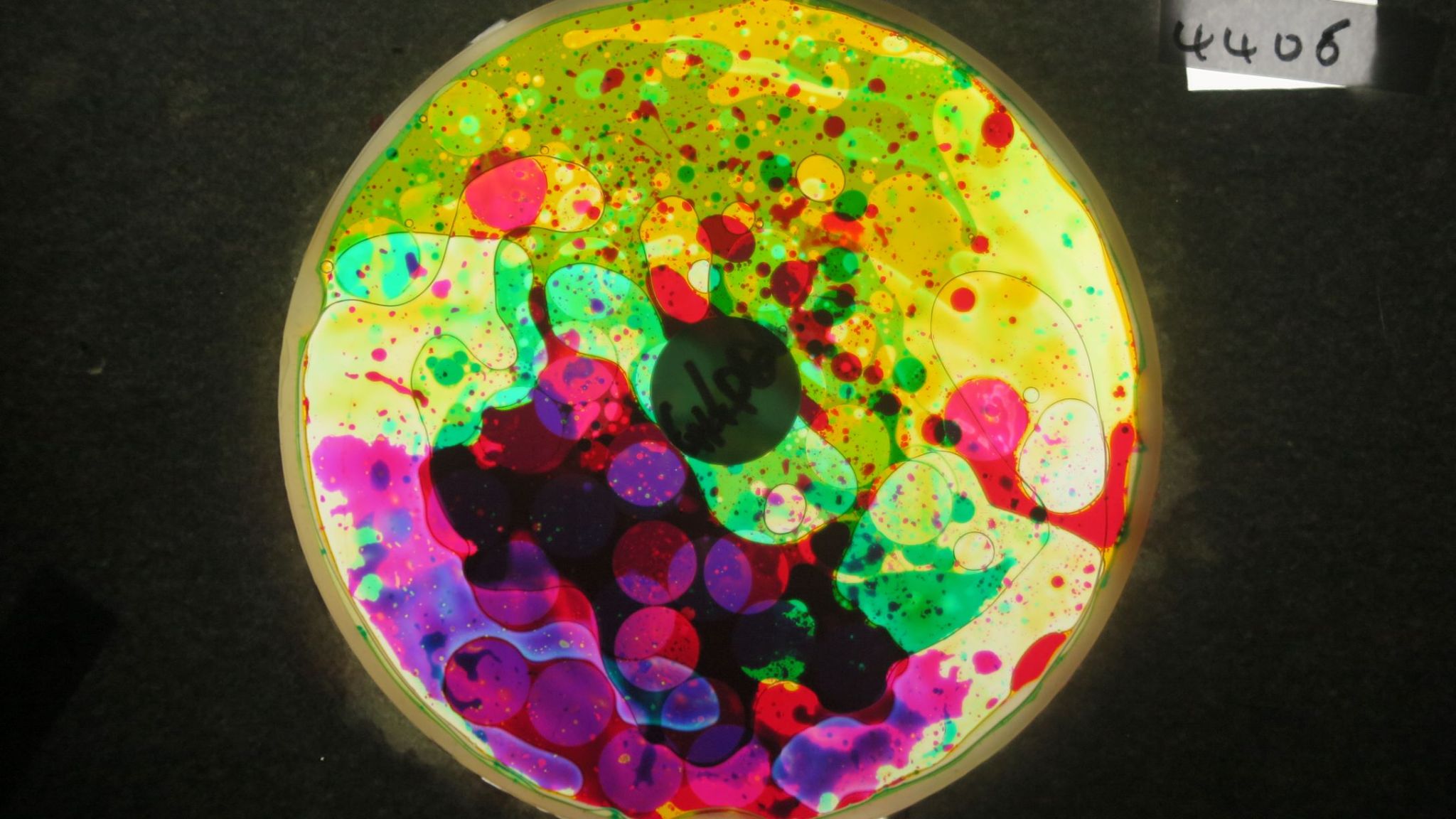 BV4406 bubble vision oil wheel